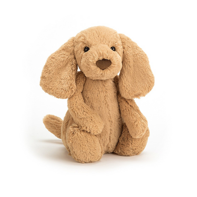 Jellycat Bashful Toffee Puppy 31cm mulveys.ie nationwide shipping