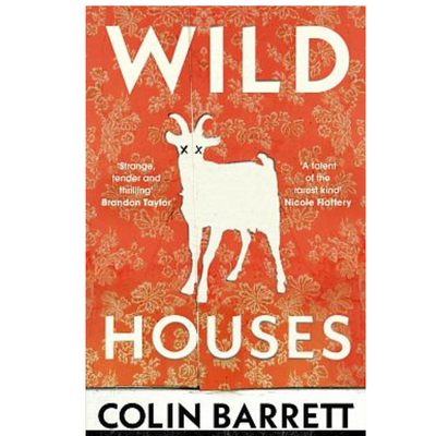 Wild Houses by Colin Barrett mulveys.ie nationwide shipping