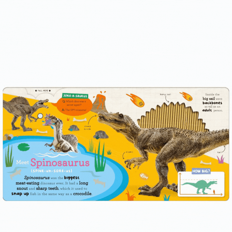 Lets Explore Dinos mulveys.ie nationwide shipping