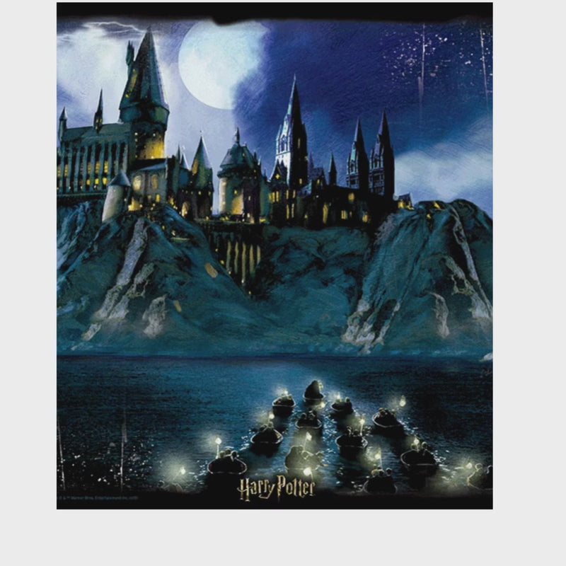 Hogwarts Harry Potter Jigsaw mulveys.ie nationwide shipping