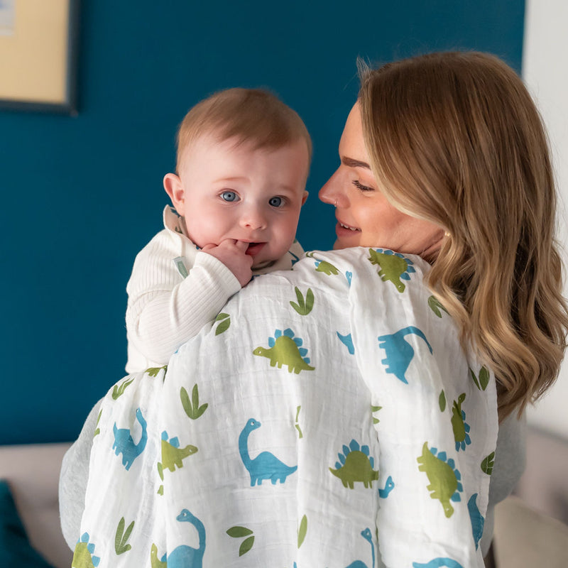 Ziggle Dinosaurs Swaddle