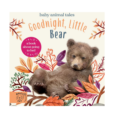 Goodnight Little Bear Hardback mulveys.ie nationwide shipping