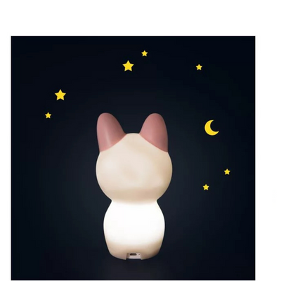 Cat Night Light After the Rain - Moulin Roty