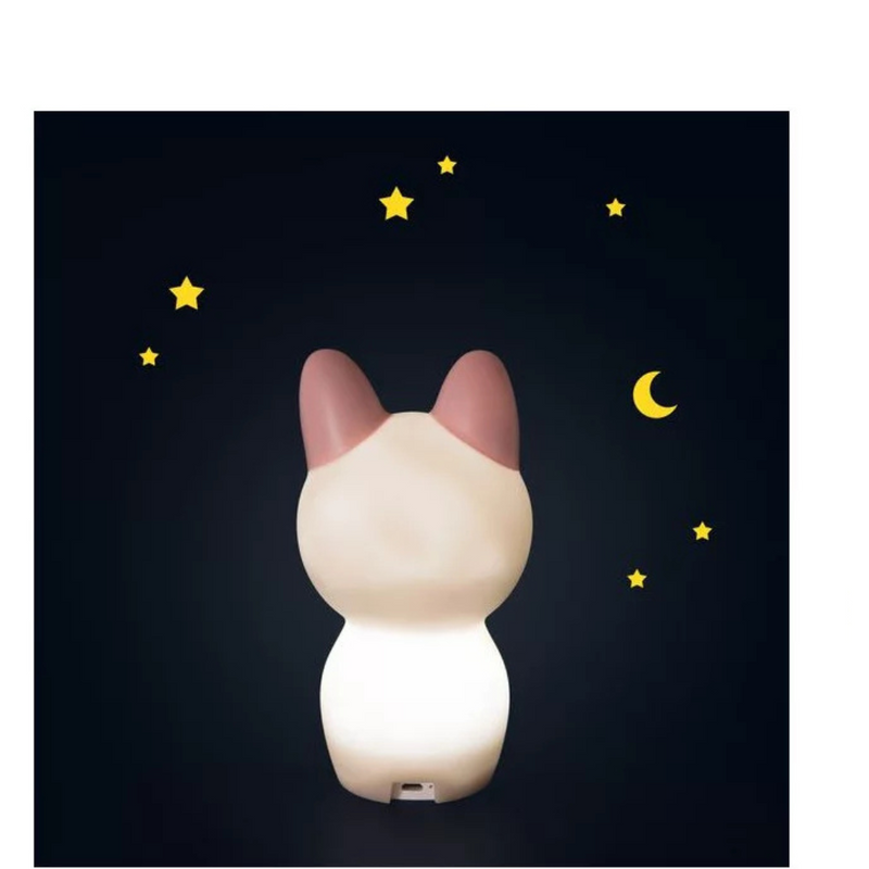 Cat Night Light After the Rain - Moulin Roty