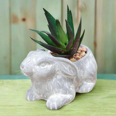 Cement Effect Rabbit Planter with Succulent. Mulveys.ie
