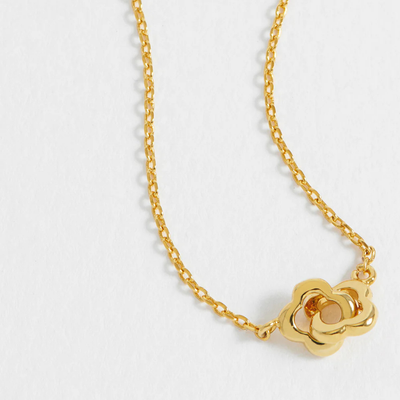Estella Bartlett Treasure Me Gold Necklace mulveys.ie nationwide shipping