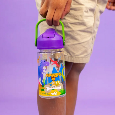 Floss & Rock Drinks Bottle Dino mulveys.ie nationwide shipping