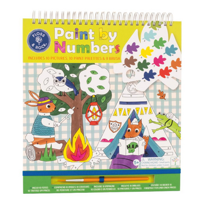 Floss & Rock Paint by Numbers – Adventure.Mulveys.ie