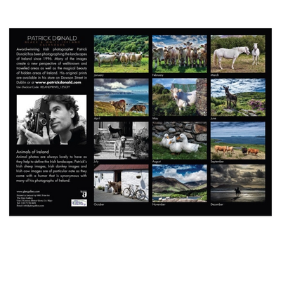 Glen Gallery A4 Calendar 2026 Animals of Ireland