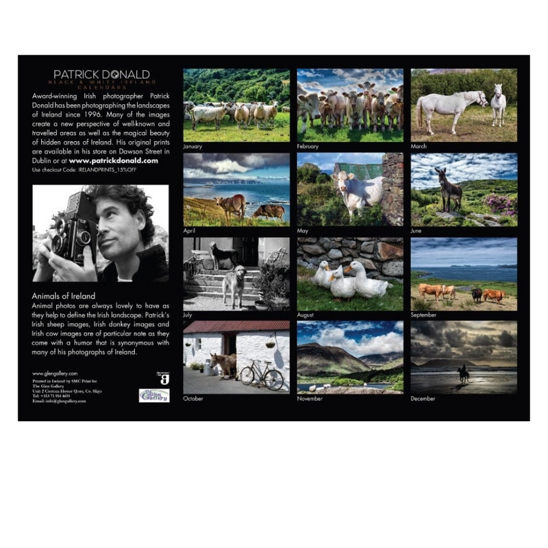 Glen Gallery A4 Calendar 2026 Animals of Ireland