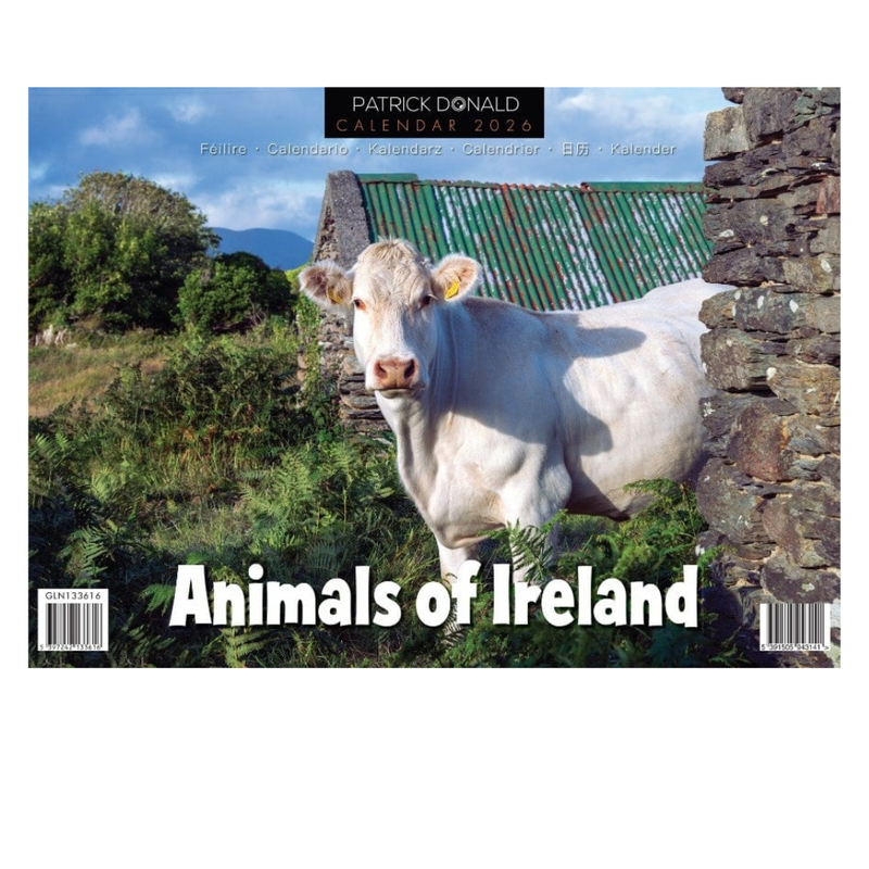 Glen Gallery A4 Calendar 2026 Animals of Ireland