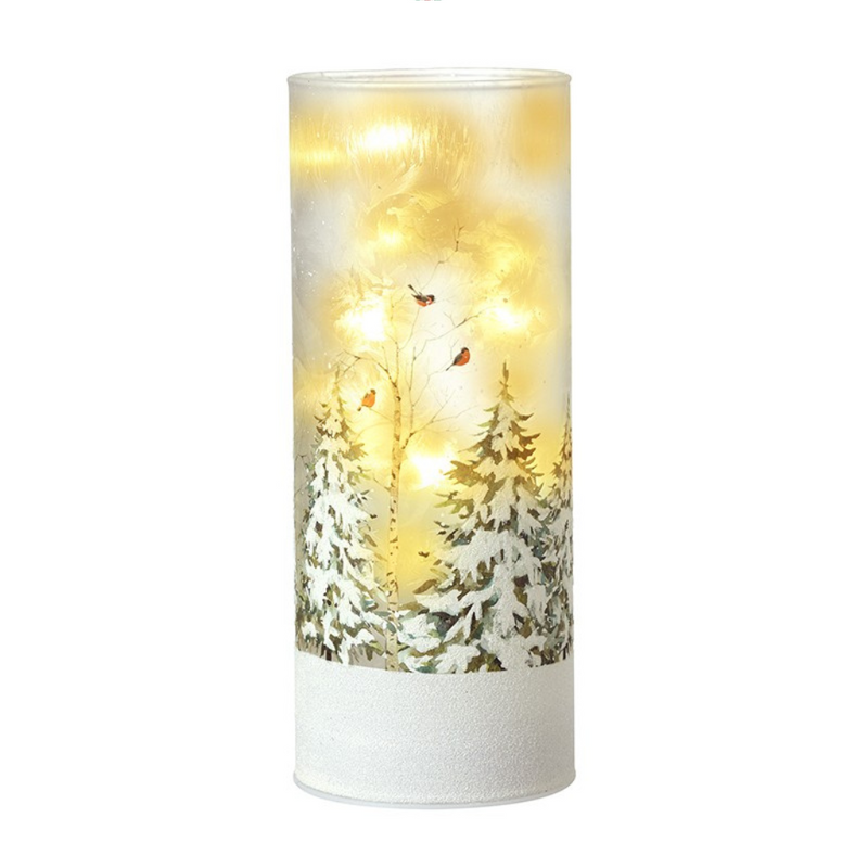 Heaven Sends Snowy Robin Frosted Glass Led Light