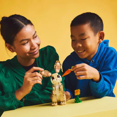 LEGO CREATOR 3-IN-1 31162 CUTE BUNNY. MULVEYS.IE