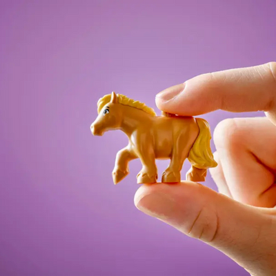 LEGO FRIENDS 42654 PONY RANCH & STABLE. MULVEYS.IE
