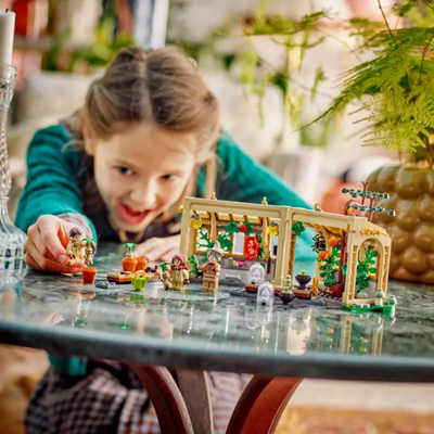 LEGO HARRY POTTER 76445 HOGWARTHS CASTLE HERBOLOGY CLASS. MULVEYS.IE