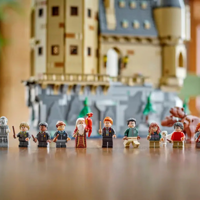 LEGO HARRY POTTER 76454 HOGWARTS CASTLE THE MAIN TOWER. MULVEYS.IE