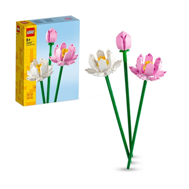 40647 Lotus Flowers
