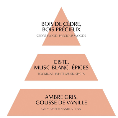 Les Intemporelles en Fête Room Fragrance Diffuser Set - Marquise