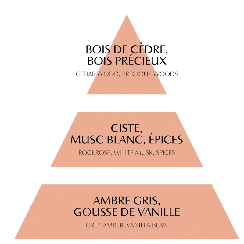 Les Intemporelles en Fête Room Fragrance Diffuser Set - Marquise