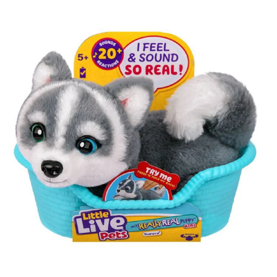 Plush toy husky in a blue basket with 'Little Live Pets' packaging on a white background