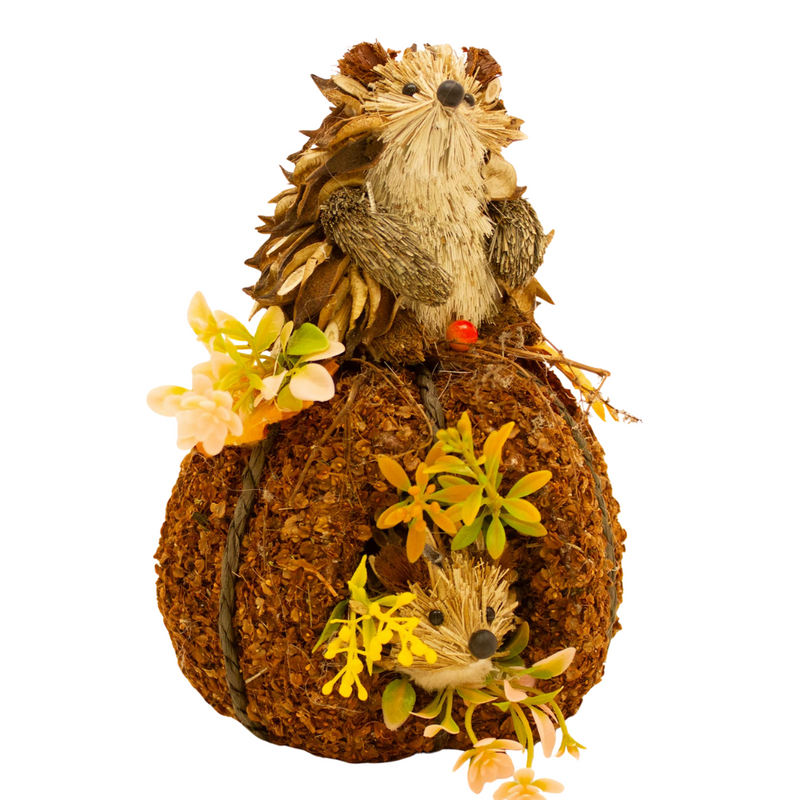 Enchante Hedgehog Pumpkin Decoration