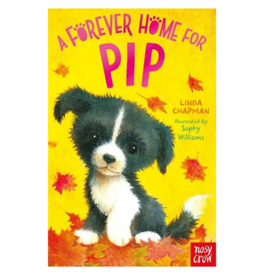 A forever Home Pip mulveys.ie nationwide shipping