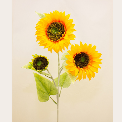 Enchante Sunflower Stem mulveys.ie nationwide shipping