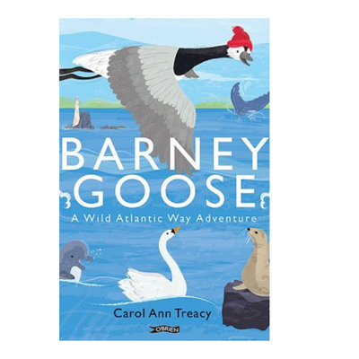 Barney Goose mulveys.ie nationwide shipping