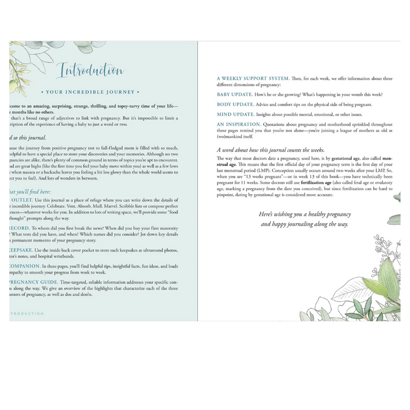 Pregnancy Journal