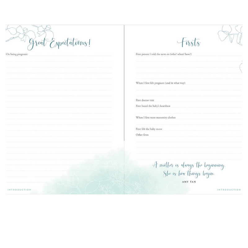 Pregnancy Journal