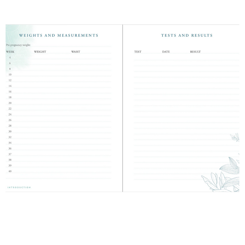 Pregnancy Journal