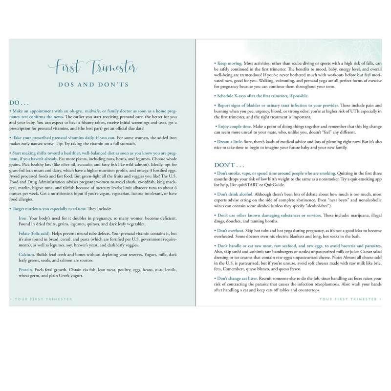 Pregnancy Journal