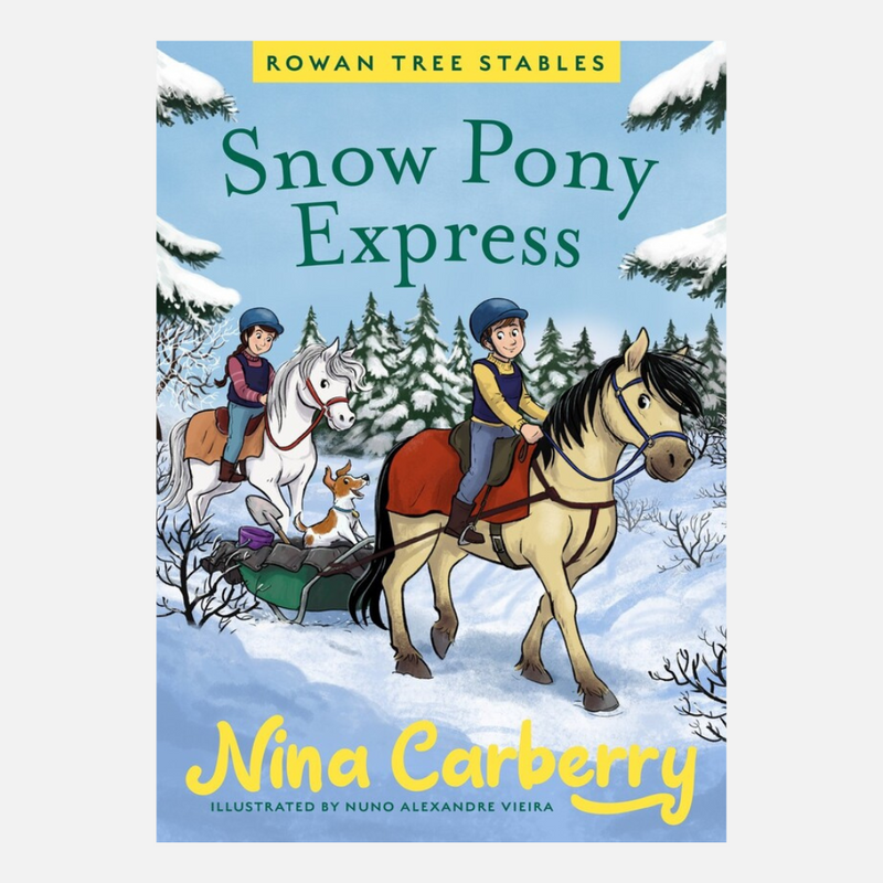 Snow Pony Express mulveys.ie nationwide shipping