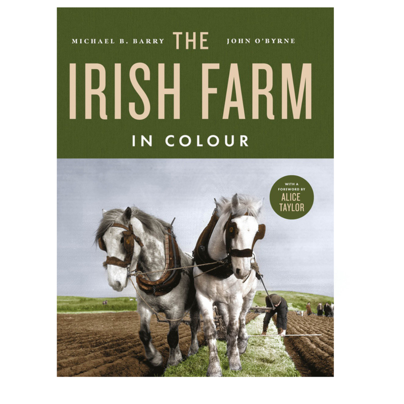 The Irish Farm in colour