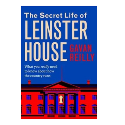  The Secret Life Of Leinster House mulveys.ie nationwide shipping