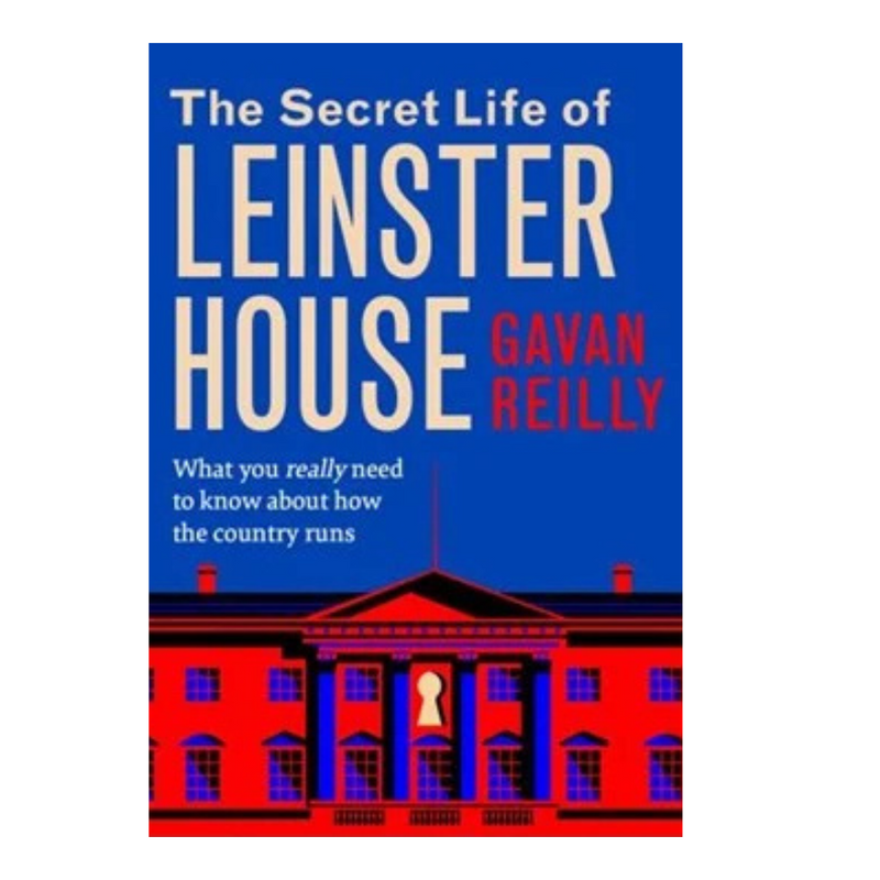  The Secret Life Of Leinster House mulveys.ie nationwide shipping