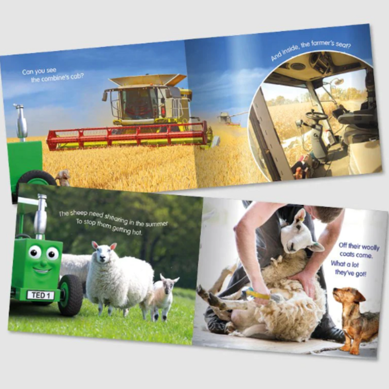 Tractor Ted A Summer Day Storybook