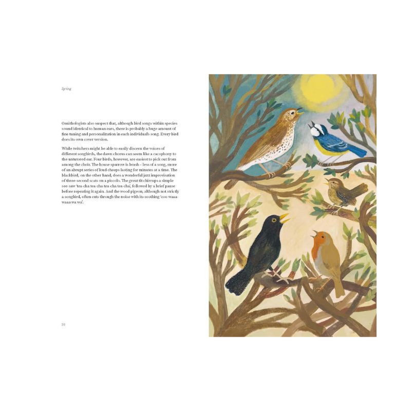 The Wildlife Year: How to Reconnect with Nature Through the Seasons mulveys.ie Nationwide Shipping