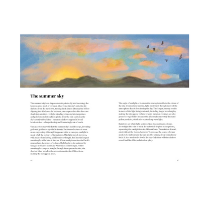 The Wildlife Year: How to Reconnect with Nature Through the Seasons mulveys.ie Nationwide Shipping