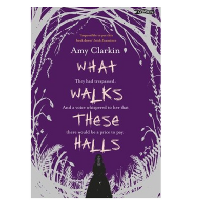 WHAT WALKS THESE HALLS by Amy Clarkin mulveys.ie nationwide shipping