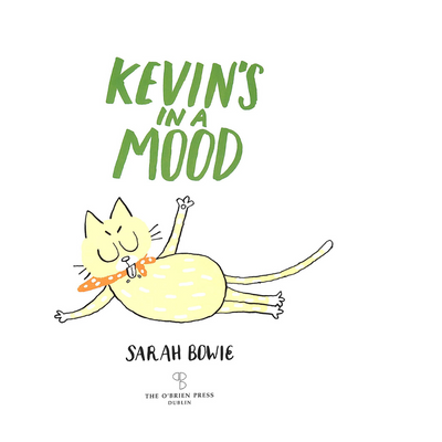 KEVIN'S IN A MOOD by Sarah Bowie mulveys.ie nationwide shipping