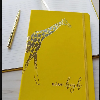 Aim High Giraffe Journal mulveys.ie nationwide shipping