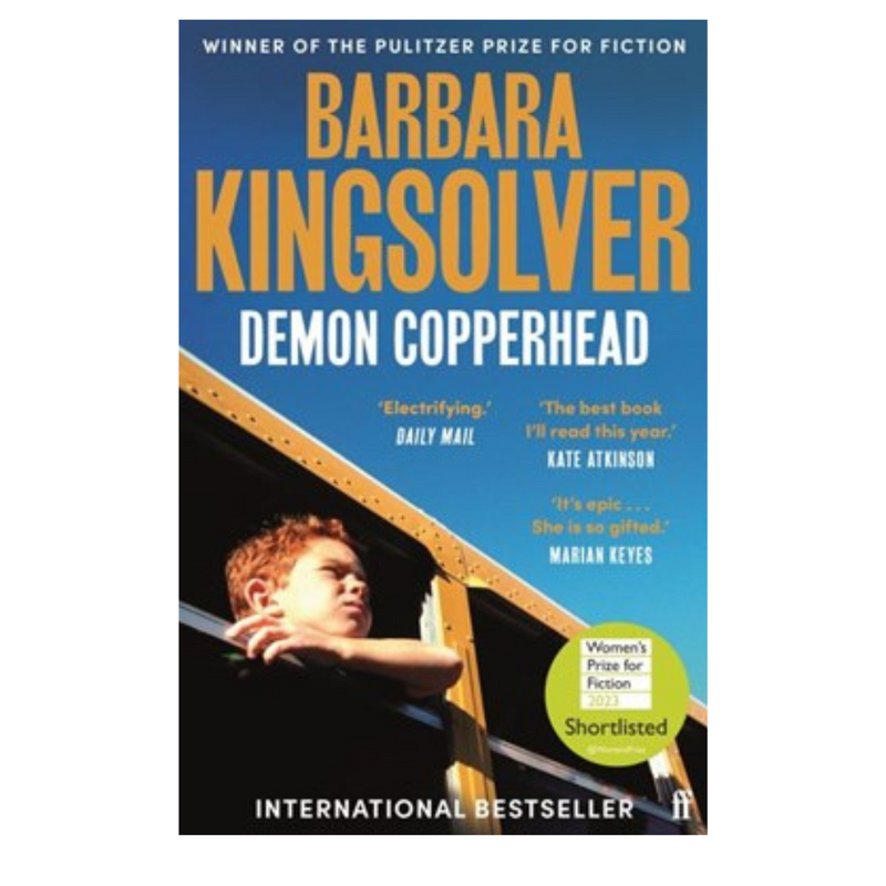 DEMON COPPERHEAD by Barbara Kingsolver mulveys.ie nationwide shipping