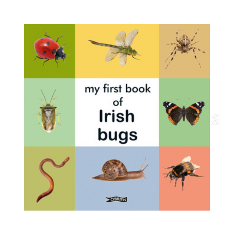 My first bugs book  mulveys.ie nationwide shipping