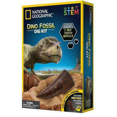 DINO FOSSIL DIG KIT mulveys.ie nationwide shipping