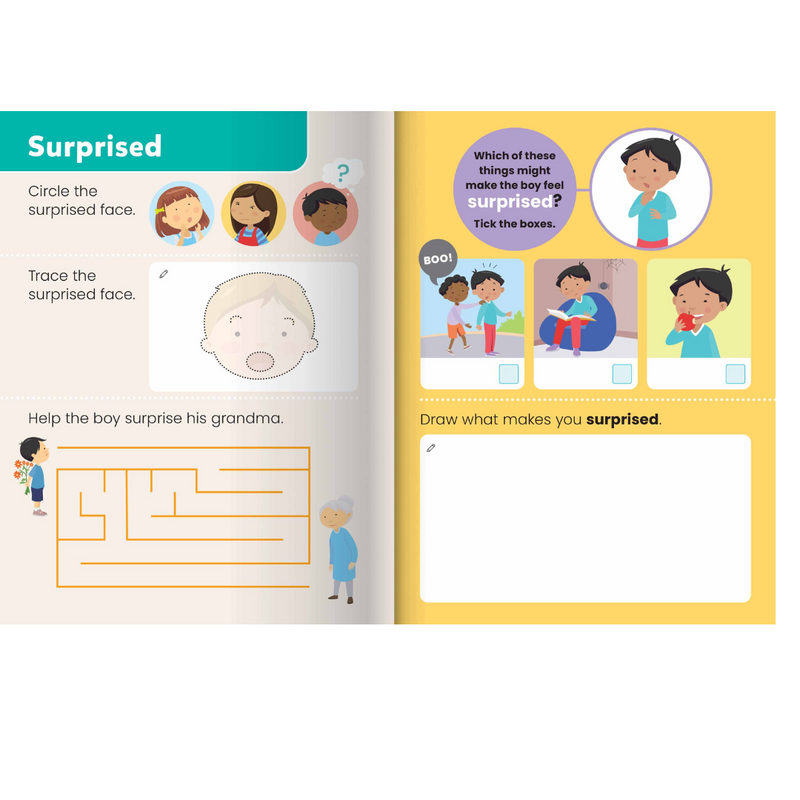 Junior Explorers® Write and Wipe: Feelings Book