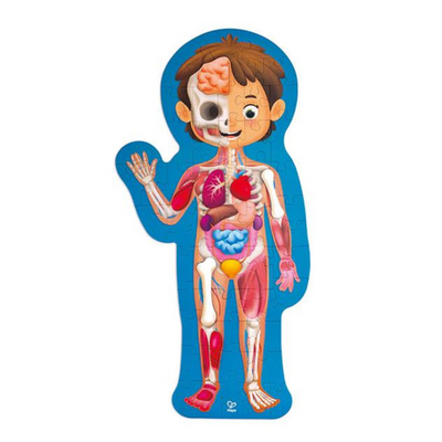 Hape Human Body Puzzle mulveys.ie nationwide shipping