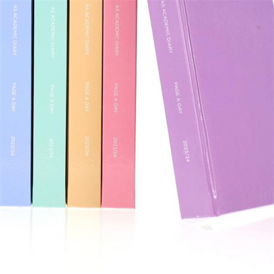 Premto Pastel A5 2023-2024 Page A Day Academic Diary 5 Asst mulveys.ie nationwide shipping