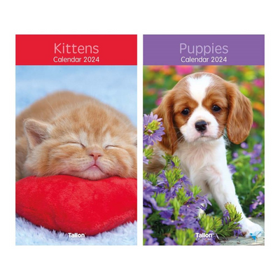 Calendar Midi : Kittens and Puppies mulveys.ie nationwide shipping