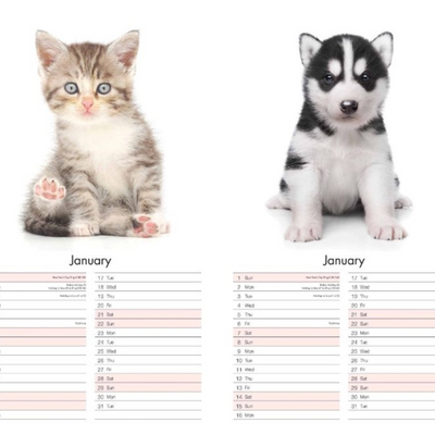 Calendar Midi : Kittens and Puppies mulveys.ie nationwide shipping